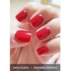 image:imageohora Semi Cured Gel Portable Starter Set N Addict amp N Cream Cloud amp Portable Gel Lamp  Professional SalonQuality Nail Care