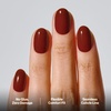 image:imageohora Gel Press On Nails  Pink Solid Art Short Square  Baby DaisyRoasted Red