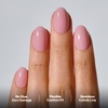image:imageohora Gel Press On Nails  Pink Solid Art Short Square  Baby DaisySheer Mauve