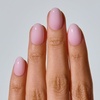 image:imageohora Gel Press On Nails  Pink Solid Art Short Square  Baby DaisySheer Petal